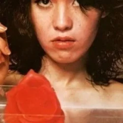 芹明香