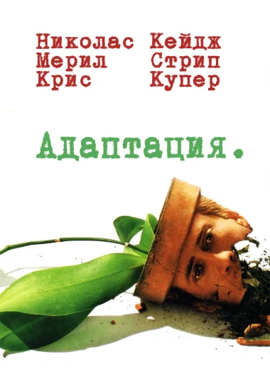 Адаптация