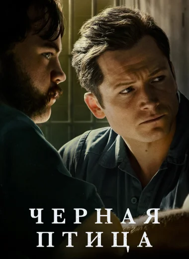 Черная птица