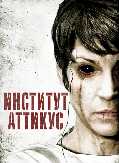Институт Аттикус