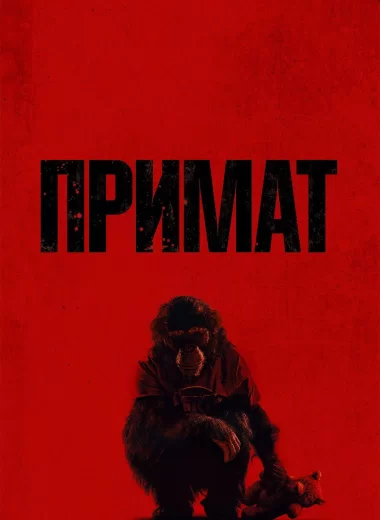 Примат