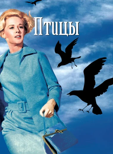 Птицы