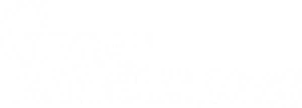 Большие надежды