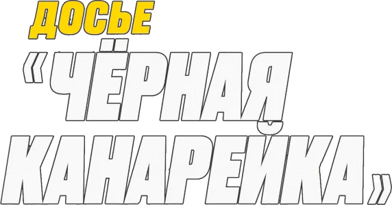 Досье «Чёрная канарейка»
