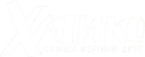 Хатико: Самый верный друг
