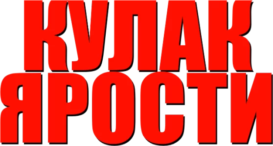 Кулак ярости