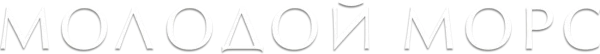 Молодой Морс