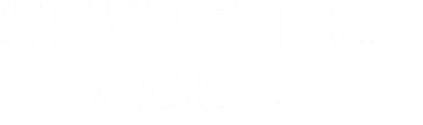 Секретное досье