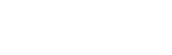 Сонни Бой