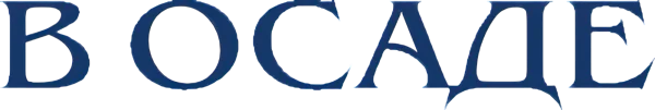 В осаде