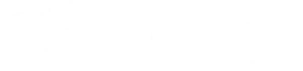Возвращение
